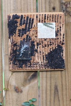 Rosemary Collage on Reclaimed Wood